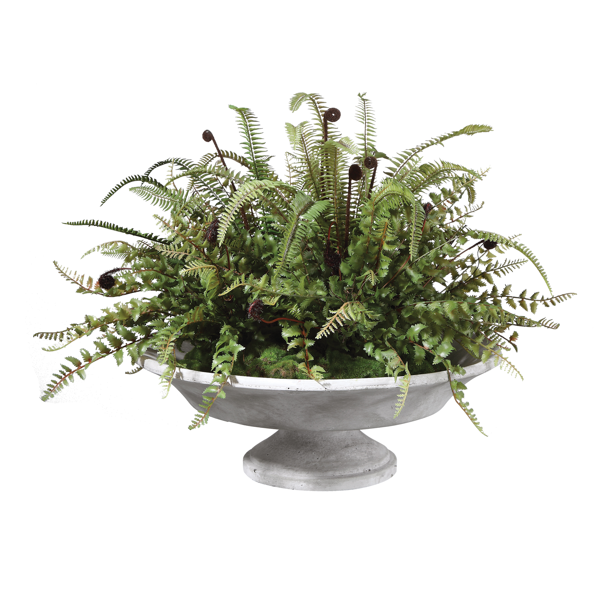 Picture of MABRY FERN CENTERPIECE
